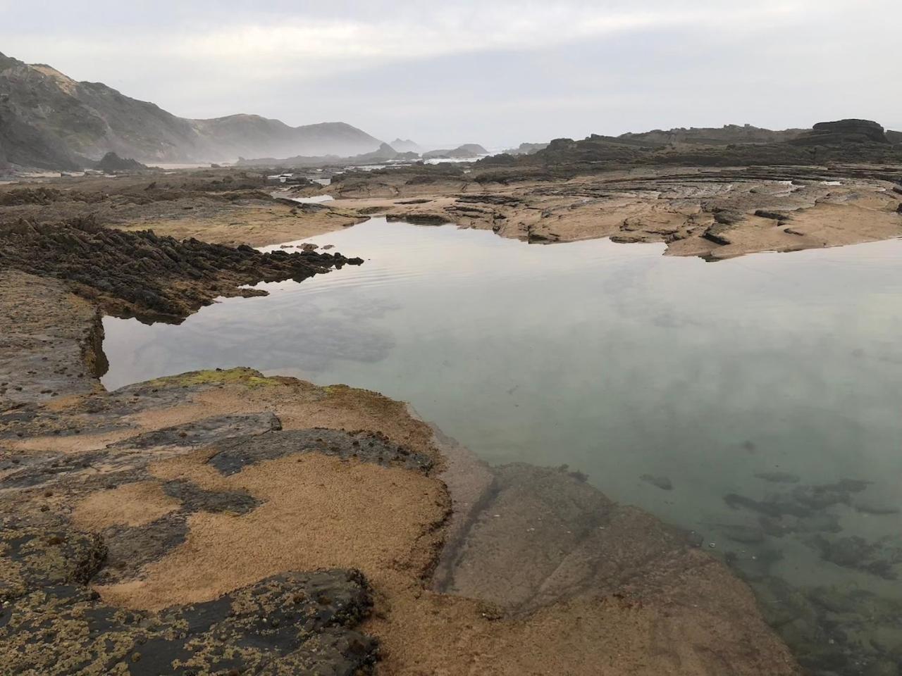 Baiona Casas De Seixe 빌라 외부 사진